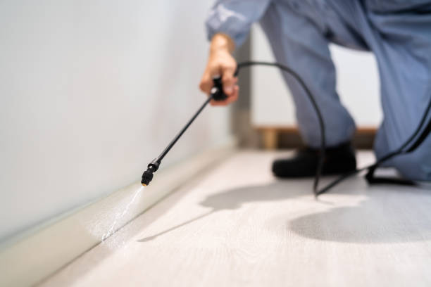 Licensed Termite Control service in Western Connecticut Planning Region County, CT - Nex Pest Control